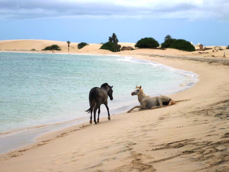 Vilas Praia De Chaves - Sol Y Mar Standart Rabil Экстерьер фото